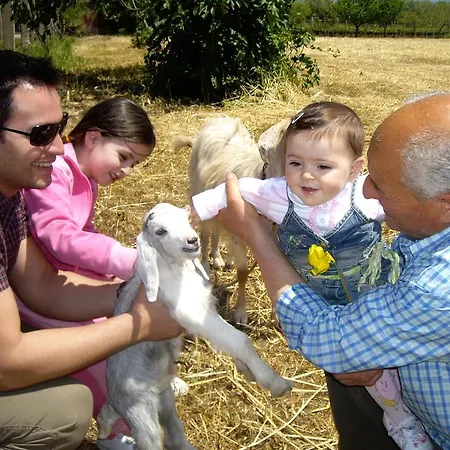 Séjour à la ferme Frantoio Mafrica *