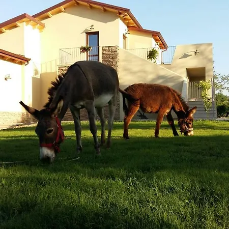 Agriturismo Frantoio Mafrica *
