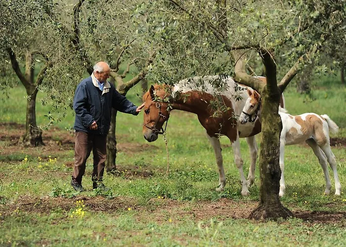 Frantoio Mafrica * Limbadi