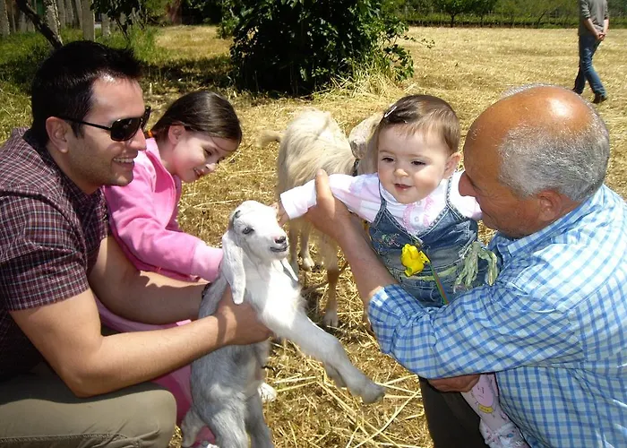 农家乐 Frantoio Mafrica *